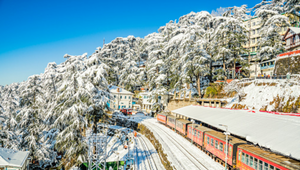 Shimla